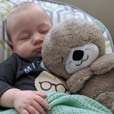 Sleep Otter Calming Toy - 🎉 50% OFF TODAY