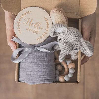 Newborn Hello Disc & Bath Set - Skaldo & Malin